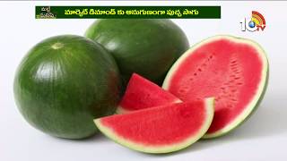 పుచ్చా బహుత్ అచ్చా | Watermelon Profits in Summer Season | Matti Manishi | 10TV News