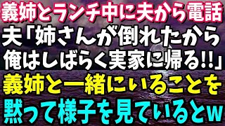 【スカッと】義姉とランチ中に夫から電話「姉さんが倒れたからしばらく実家に帰るから!!」義姉と一緒にいることを黙って様子を見ているとw【総集編】