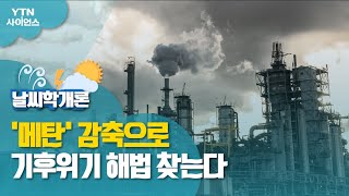 [날씨학개론] '메탄' 감축으로 기후위기 해법 찾는다 / YTN 사이언스