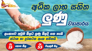 සාර්ථක ලුණු ව්‍යාපාරයක් අරබමු. | how can  start Salt Business SriLanka  in sinhala