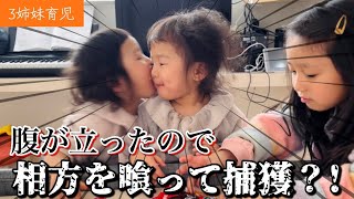 腹が立ったので相方を捕獲してやった！【双子/3姉妹の日常】