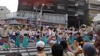 2023/8/27 高円寺阿波踊り　伍楽連中央演舞場