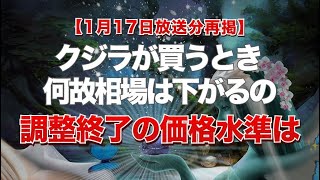 【1月17日放送分再掲】クジラが買うとき何故相場は下がるの？調整終了の価格水準は？