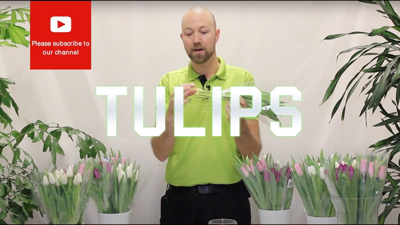 Tips And Tricks Tulips Youtube