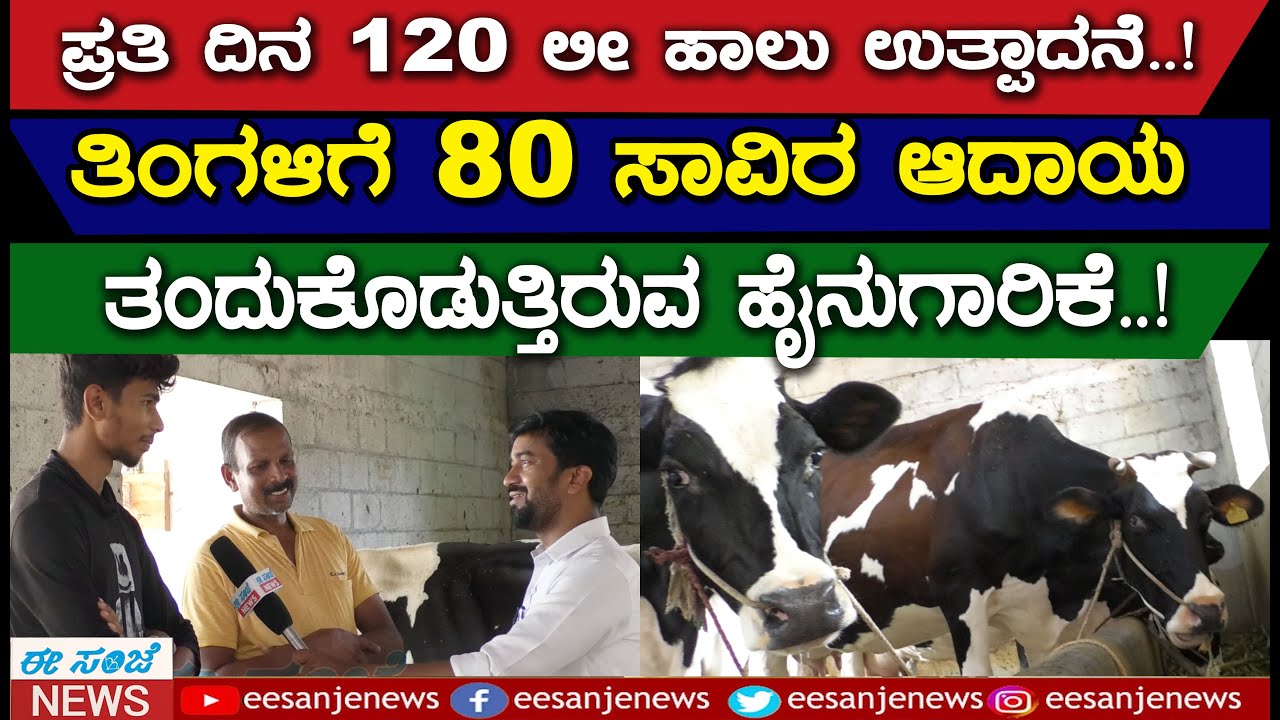 Dairy Farming In Karnataka || ಪ್ರತಿದಿನ 120ಲೀ ಹಾಲು ತಿಂಗಳಿಗೆ 80ಸಾವಿರ ಆದಾಯ ...