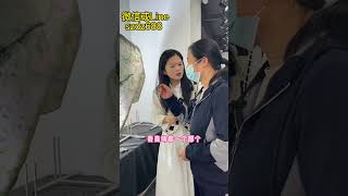 金丝绿葡萄肉翡翠手镯丨善良阿姨正确对待婆媳关系（1）#翡翠 #翡翠手镯 #翡翠直播 #翡翠手鐲