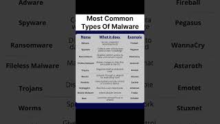 Most Common Types Of Malware