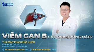 Viêm gan B lây qua đường nào? | ThS.BSNT Phạm Khắc Khiêm | THTA