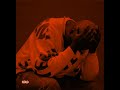 Kelvin Momo - Izono (ft. Mawhoo , Babalwa M & Chley) (slowed + reverb)