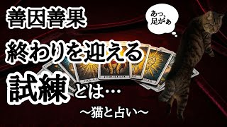 【善因善果】タロット占い🔮終わりを迎える試練とは❓時期まで占ってみる