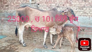 86993-17710, croos ਗਾ ਸੇਲ ਪਿੰਡ ਧੌਲਾ ਬਰਨਾਲਾ