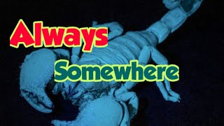 Scorpion - Always Somewhere (Cover)