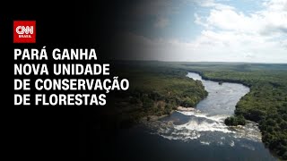 Pará ganha nova unidade de conservação de florestas | CNN PRIME TIME