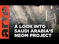 Neom: Saudi Arabia's City of the Future | ARTE.tv Documentary