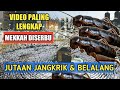 NGERII...!! JUTAAN JANGKRIK dan BELALANG SERBU MASJIDIL HARAM MAKKAH, Pertanda apakah ini?