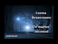 cosma brasoveanu un martor incomod 2 🎧 audiobook