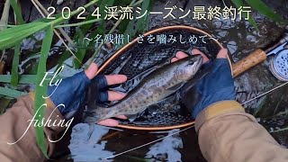 ２０２４渓流シーズン最終釣行 名残惜しさを噛み締めfly fishing