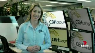 CBH Weekly Grain Market Update 7 News Regional 30 August 2024