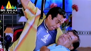 Naa Alludu Movie Brahmi Torture to Kota Scene | Jr.NTR, Shriya, Genelia | Sri Balaji Video