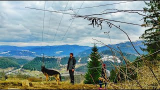 Hiking in Ukraine's Carpathian mountains l Yaremche village l tasting local food of rural Ukraine!