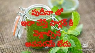 పుదీనా తో ఇలా చేస్తే పార్లర్కు వెళ్లాల్సిన అవసరం