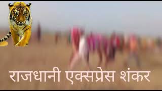 🔥हिंदकेसरी संज्या ग्रुप शिरसवडी करांचा पल्बिकचा बादशाह शंकर 🔥