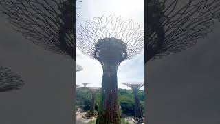 #Garden by the bay  #OCBC Skyway