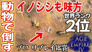 プロはイノシシと狼で聖職者を倒せます。【イングランド vs 神聖ローマ, リパニ, Age of Empires 4, AOE4 ゲーム実況】