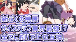 【〈物語〉シリーズぷくぷく】　新ぷくの神原が強すぎる！！　サイズアップ業界1位の性能　 【物語ぷくぷく】