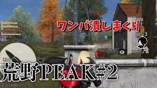 【荒野行動】ワンパ潰しまくりの荒野PEAK戦　シーズン17#2