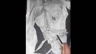hyperrealistic Sketch of horse 🐴😎#shortsvideo#hyperrealisticsketch