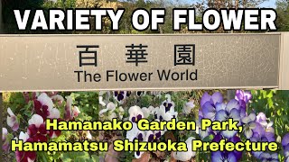 The Flower World | Hamanako Garden Park, Hamamatsu Shizuoka Prefecture | Variety of Flower 🌸