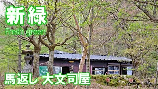 新緑の馬返し 大文司屋 富士吉田市 4K | Fresh green | 山梨県観光スポット