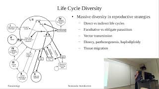 Nematoda: Introduction