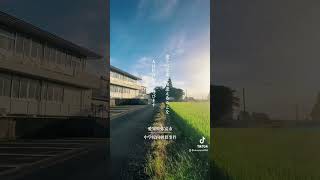 中学校内刺殺事件#愛知県#弥富市#中島みゆき#糸