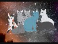 because of tigerstar a bluestar tribute