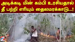 அடிக்கடி மின் கம்பி உரசியதால் தீ பற்றி எரியும் தைலமரக்காடு  ! | sathiyamTV