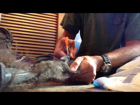 How to Clean the bristles on a Dyson Vacuum DIY How to Clean the bristles on a Dyson Vacuum DIY