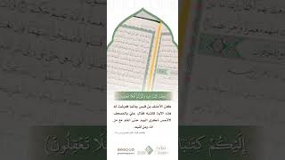 #جواهر_القرآن{ لقد أنزلنا إليكم كتاباً فيه ذكركم }