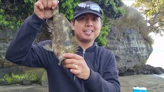 Wattle bay manukau heads, fishing adventure/ buhay ofw