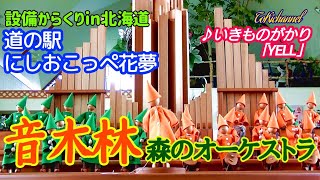 道の駅にしおこっぺ花夢「音木林」《YELL》１２：３０（北海道西興部村）［設備からくり053−002］