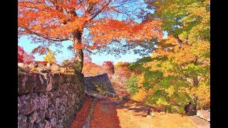 紅葉の岡城跡（大分県竹田市）