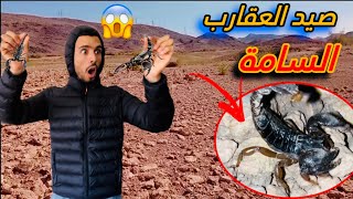 العيش الحر: تحدي صيد العقارب😱في منتصف اليل🚫بمنطقة قلعة السراغنة 🔥😱😱