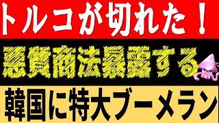 韓国の悪質商法をトルコが世界に大暴露。各国あちこちで絶賛、輸入規制発動中。その最大の理由とは？【令和のスルメ】