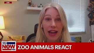 Animals react to the solar eclipse at Dallas Zoo | LiveNOW from FOX
