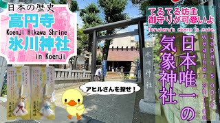 【高円寺氷川神社/Koenji Hikawa Shrine】日本唯一の気象神社/Only meteorological shrine【アヒルさんを探せ/Find a duck】Japan's hx