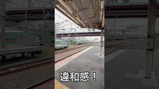 【#shorts】東海道貨物線を走行するE231系