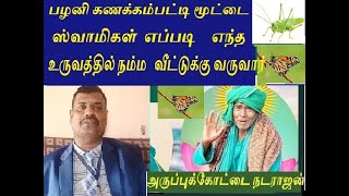 Palani Accounts List || bundle swamis || How Swami comes to our house in any form