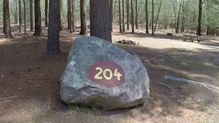 204  Burlingame State Campground Campsite