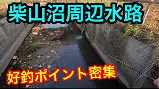 「柴山沼周辺水路」【好釣ポイント密集】2024.7.21